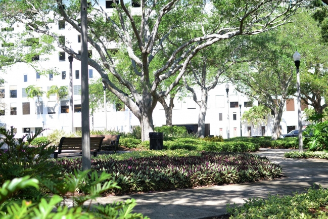 Pioneer Park is named after the founders of St Petersburg and is one of many pristine parks within walking distance of Casablanca Towers Condos in Downtown St Petersburg Florida