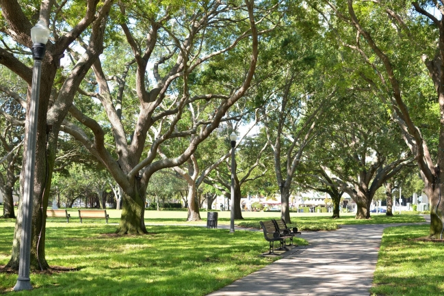 North Straub Park is walking distance from Del Centro Condos
