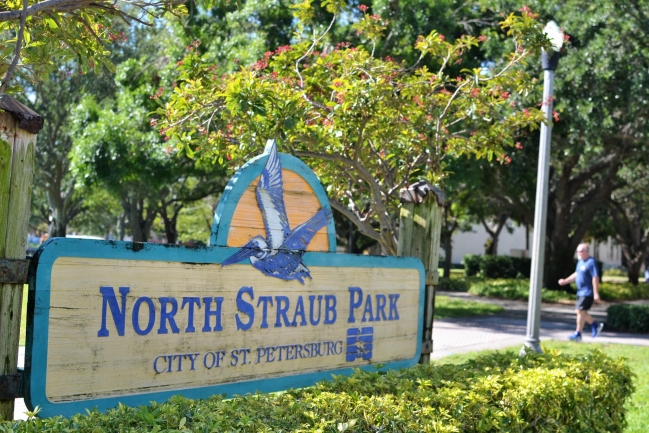 North Straub Park is walking distance from Del Centro Condos