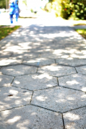 You can find St Pete\'s signature hex-block sidewalks through out the Old Northeast neighborhood