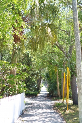 Historic Old Northeast neighborhood. just north of Downtown St Petersburg, has walkways lined with canopies of oak trees